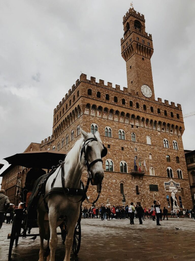 piazza della signoria a firenze-a015