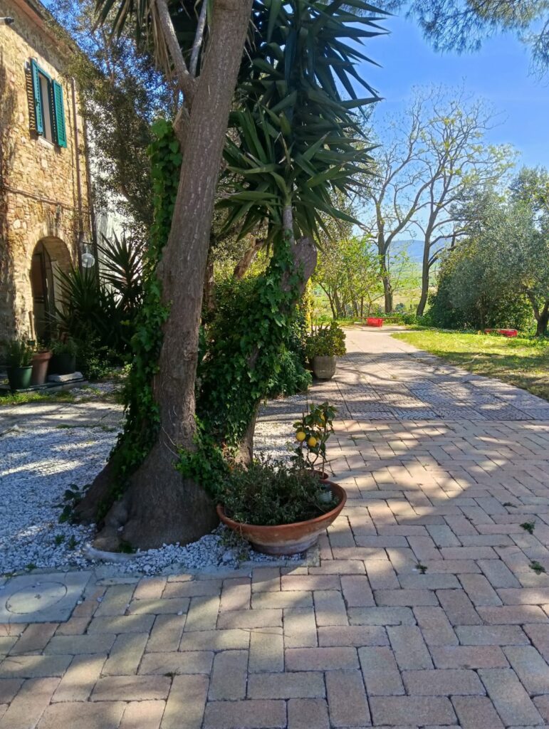 Giardino agriturismo pane e vino senzan glutine a rosignano marittimo 2026